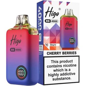 Higo BB 4000 Vape Kit front view
