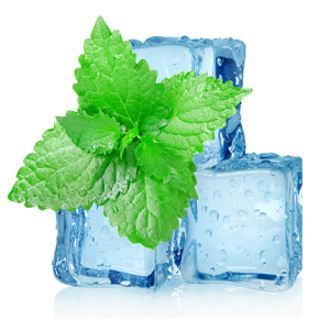 Ice Menthol E Liquid bottle front view